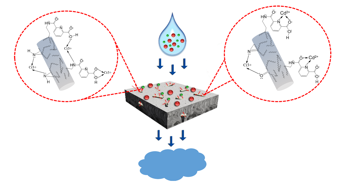 Graphical Abstract 6