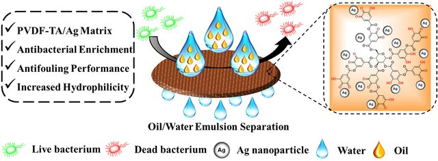 Graphical Abstract 8